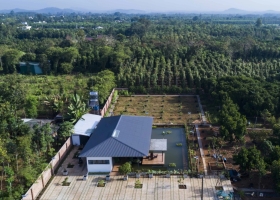 Nhà vườn biến hồ trữ nước tưới tiêu thành 'trái tim' cảnh quan