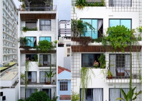 Nhà phố phủ lớp 'rèm cây' thích ứng khí hậu biển