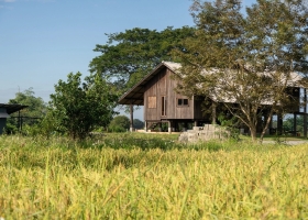 Nhà sàn 150 m2 dùng năng lượng mặt trời giữa ruộng lúa
