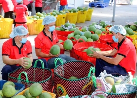 30 năm kinh doanh của doanh nghiệp Việt - Mỹ